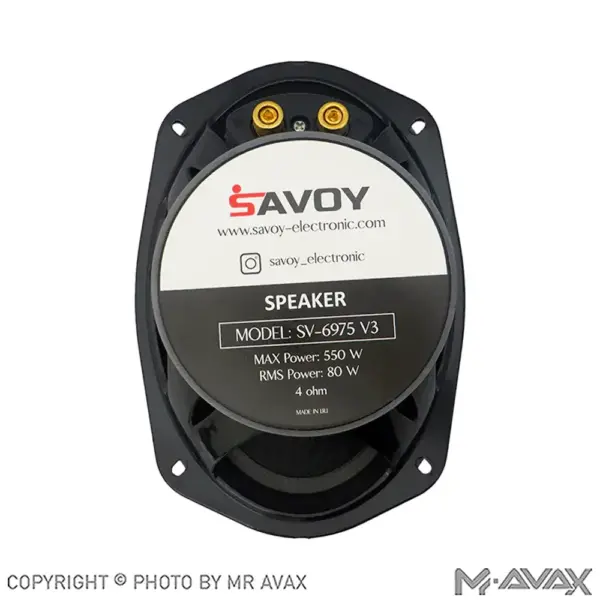 باند بیضی 9*6 اینچ ساووی (Savoy) مدل SV-6975v3 دو عددی