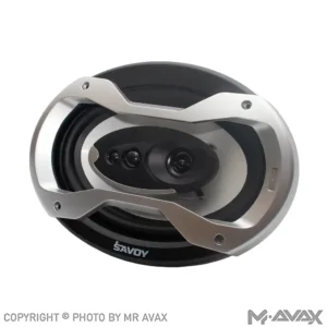 باند ساووی مدل SV-690X دو عددی
